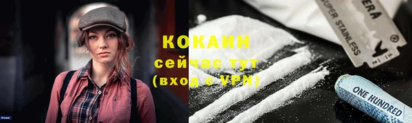 СК Алексин