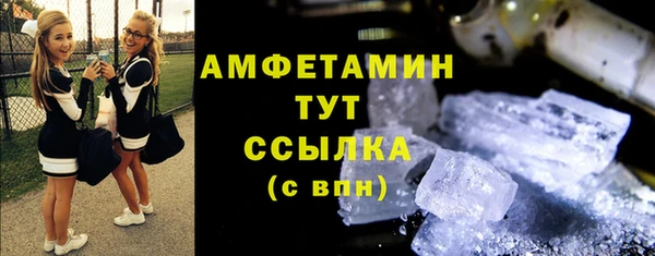 СК Алексин