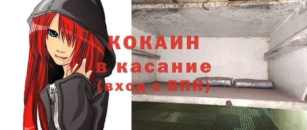 крисы Аркадак