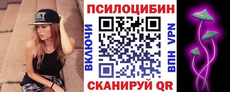 MEGA как войти  Дорогобуж  Галлюциногенные грибы Magic Shrooms 